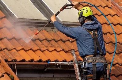 Démoussage et hydrofuge de toiture à Lachaux